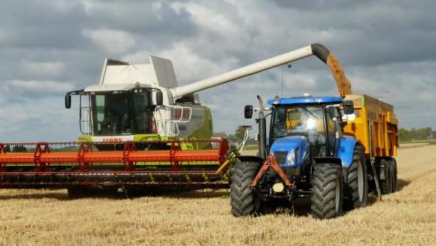 Corso di imprenditore agricolo professionale (IAP)