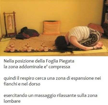 Corso di YOGA per il Mal di SCHIENA