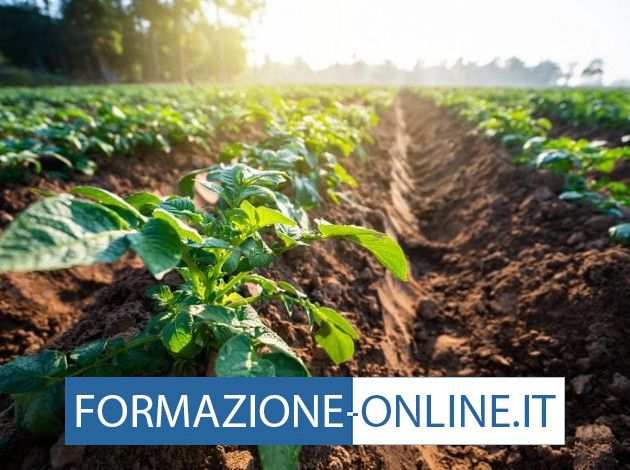 CORSO IAP 100 ONLINE  ESAME ONLINE - VALIDITA NAZIONALE - CASERTA