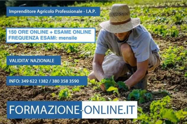 CORSO IAP 100 ONLINE  ESAME ONLINE - VALIDITA NAZIONALE - VIBO VALENTIA