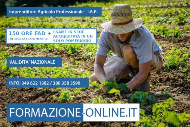 CORSO IAP STUDIO ONLINEESAME IN SEDE - VALIDITA NAZIONALE - BARI