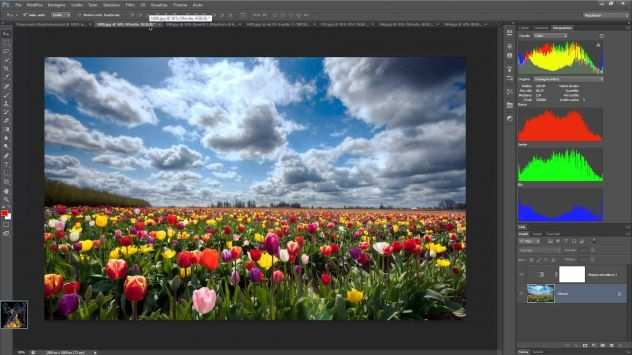 CORSO ON LINE DI PHOTOSHOP - TRIESTE