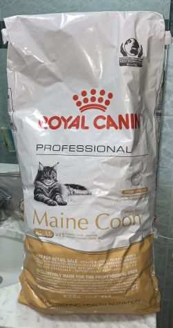 Crocchette Royal Canin Gatto Maine Coon (19 Kg)