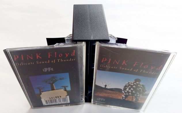 Custodia e posterquotDelicate Sound of Thunder dei Pink Floydquot NO MUSICASSETTA