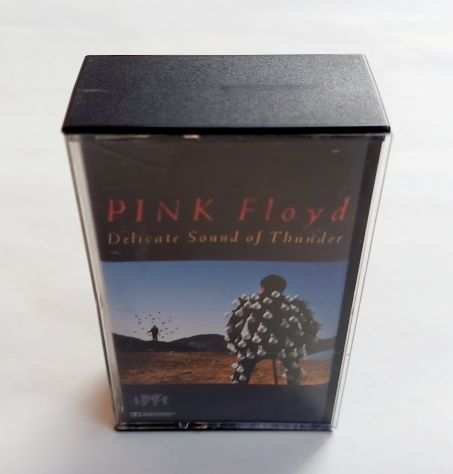 Custodia e posterquotDelicate Sound of Thunder dei Pink Floydquot NO MUSICASSETTA
