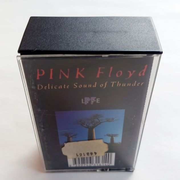 Custodia e posterquotDelicate Sound of Thunder dei Pink Floydquot NO MUSICASSETTA