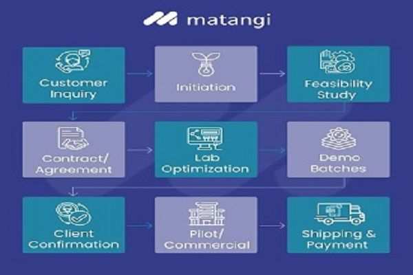 Custom Synthesis And Contract Manufacturing  Matangi Industries