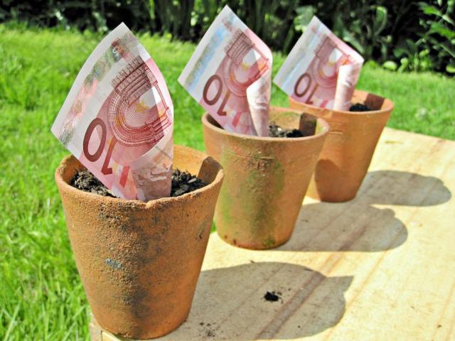 Vuoi avviare un'attività