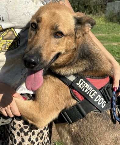 Dakar cerca la famiglia che ha sempre sognato