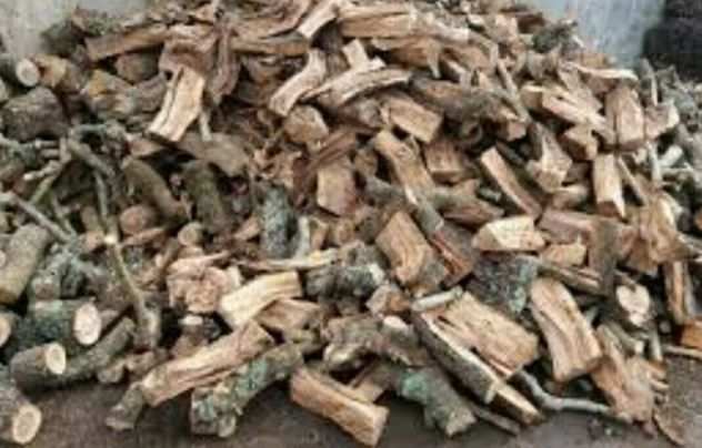 Diano Marina (IM) Legna di ulivo tagliata per stufe,caminetti,forni a legna .