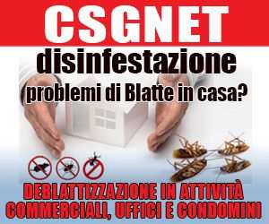 Disinfestazione Deblattizzazione e Derattizzazione a Reggio Calabria e provincia
