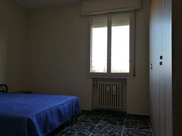 disponibile per studentesse stanza singola vicino allospedale