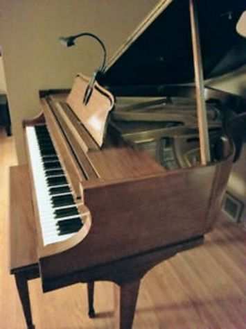 Docente di Conservatorio impartisce lezioni private di pianoforte
