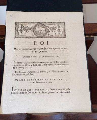 Documento - Assembleacutee Nationale francaise - LOI vente Roi Louis XVI Deacutecret - 1790