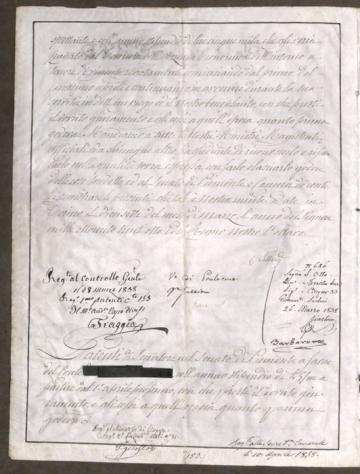 Documento - Regno di Sardegna - Patente di Senatore con autografo di Re Carlo Alberto di Savoia - 1838