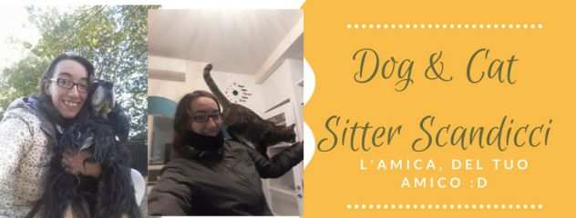 Dog amp Cat Sitter Scandicci