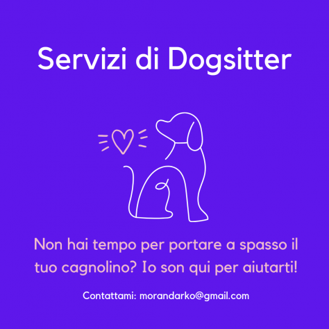 Dog Sitter a Domicilio Porto il Tuo Dolce Cucciolo a Spasso