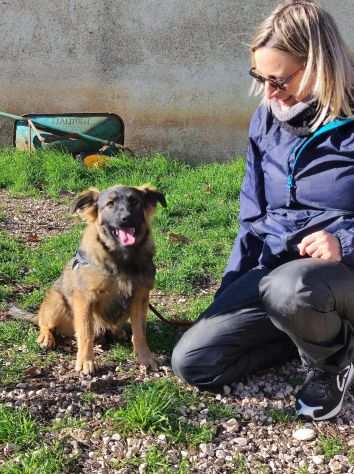 Dolcissimo Spike egrave finito in canile,attende che la sua gabbia venga aperta