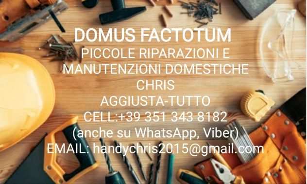 DOMUS FACTOTUM