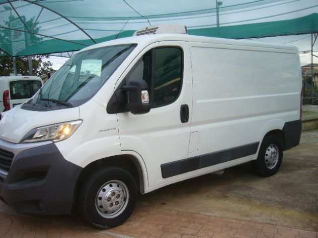 ducato cella fribo - 20deg