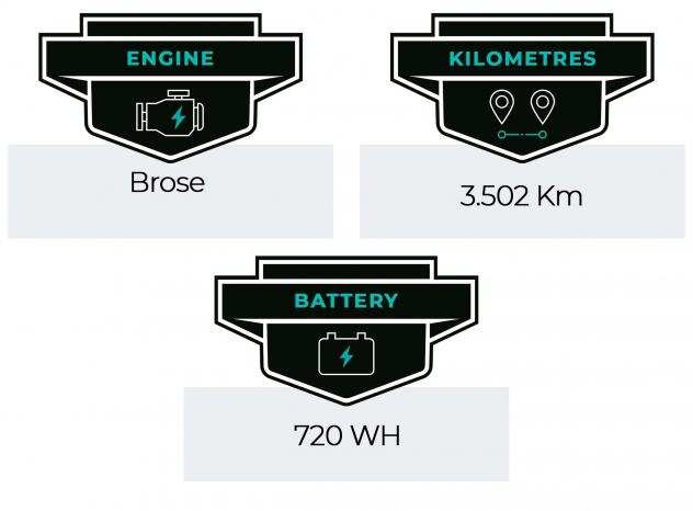 E-Bike - MTB Bulls E Stream Evo AM 4