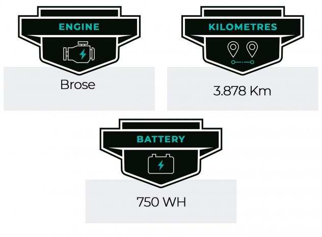 E-Bike - MTB Bulls E-Strem Evo AM3