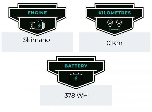 E-Bike - MTB Focus Jam 2