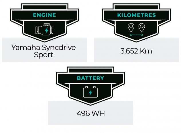 E-Bike - MTB Liv Embolden E 2