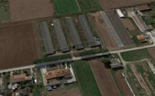 E61123 - Terreno con capannoni agrari