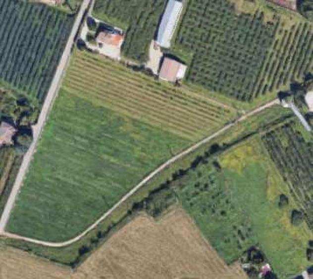 E98023 - Terreni agricoli a Verona (VR)