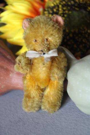 Educa miniatuur teddybeertje, 1920-1930. - Orsacchiotto - 1920-1930 - Germania