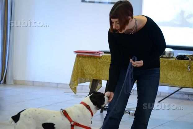 Educatore addestratore cinofilo cani e pensione per cani in casa