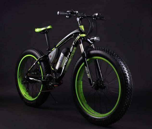 Electric Fat Bike 350W