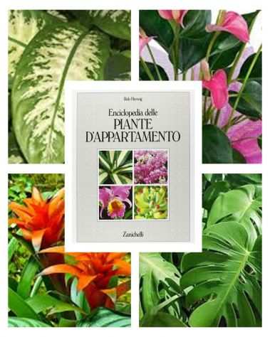 Enciclopedia delle PIANTE DAPPARTAMENTO, Rob Herwig, Zanichelli 1987.