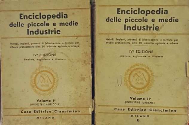 Enciclopedia delle piccole e medie industrie