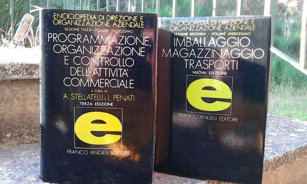 ENCICLOPEDIA DI DIREZIONE ED ORGANIZZAZIONE AZIENDALE quotFRANCO ANGELIquot