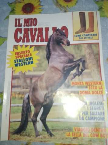 Enciclopedia per imparare a cavalcare e conoscere il cavallo