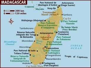 EXPORT VANIGLIA DAL MADAGASCAR