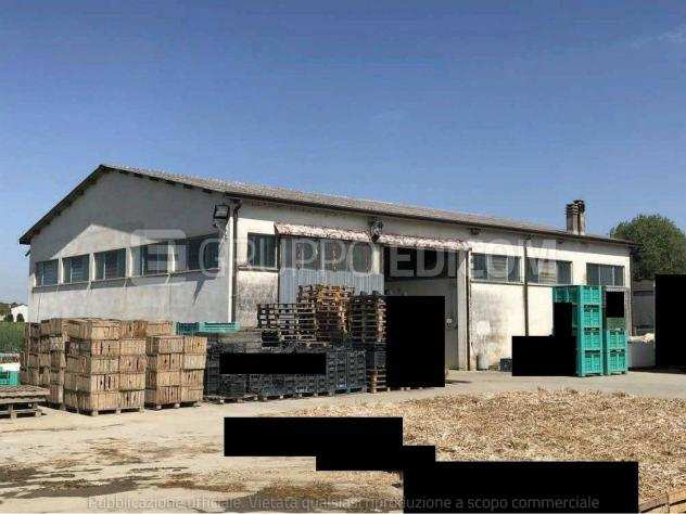 Fabbricati per attivitagrave agricole di 322 mq in vendita a Ceregnano - Rif. 4427951