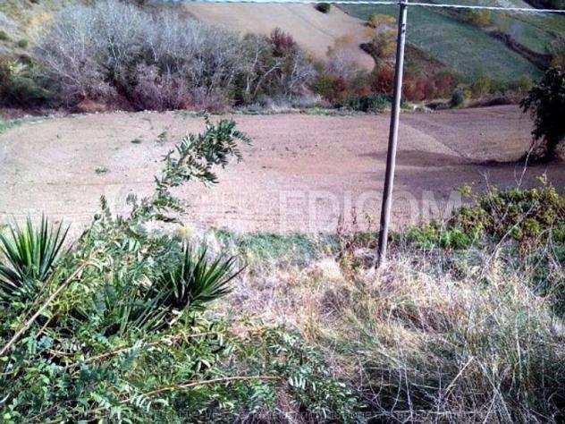Fabbricati per attivitagrave agricole di 860 mq in vendita a Montalto Uffugo - Rif. 4396181