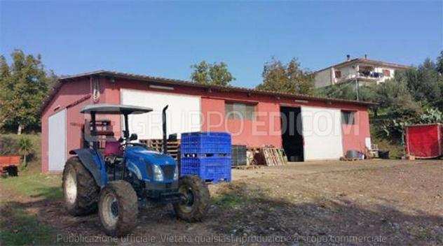 Fabbricati per attivitagrave agricole in vendita a Roggiano Gravina - Rif. 4451588