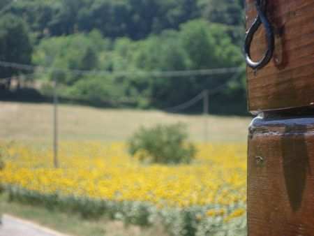 Fano . casa vacanze con giardino