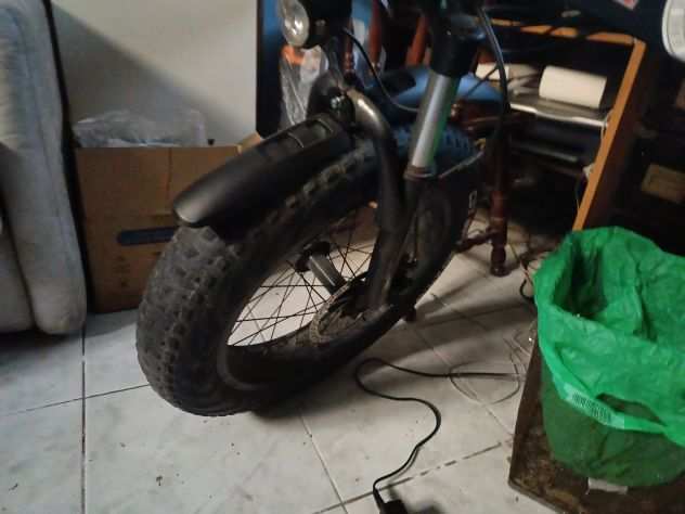 Fat bike