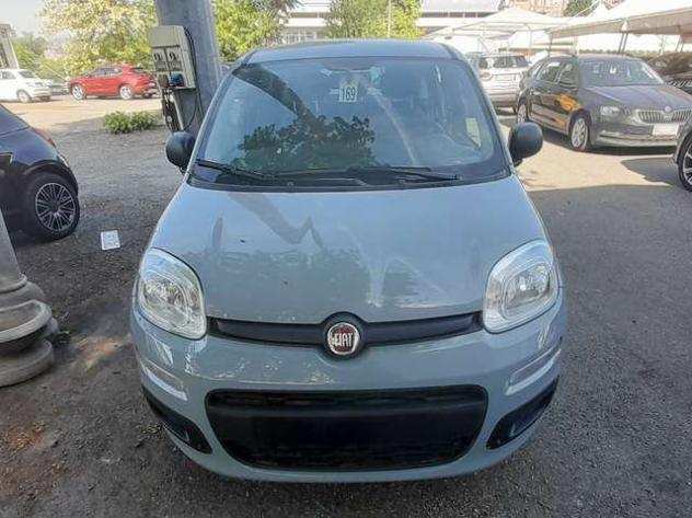 FIAT Panda 1.0 firefly hybrid City Life samps 70cv