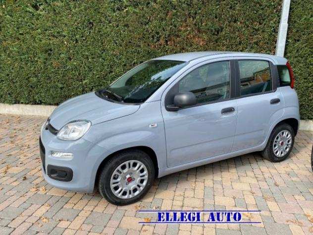 FIAT Panda 1.0 FireFly Hybrid KM 0 rif. 19071446