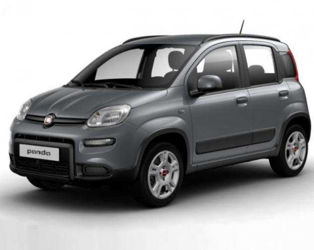 FIAT Panda 1.0 FireFly SampS Hybrid City Life con Promo Summer rif. 19478971