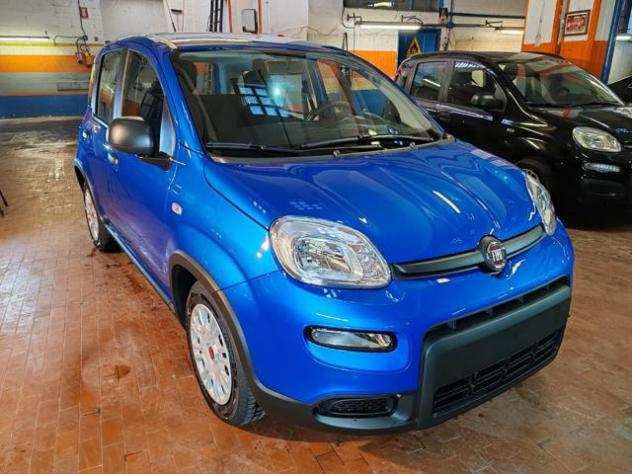 FIAT Panda 1.0 Hybrid 70cv 36 Rate da 177,95 rif. 21475912