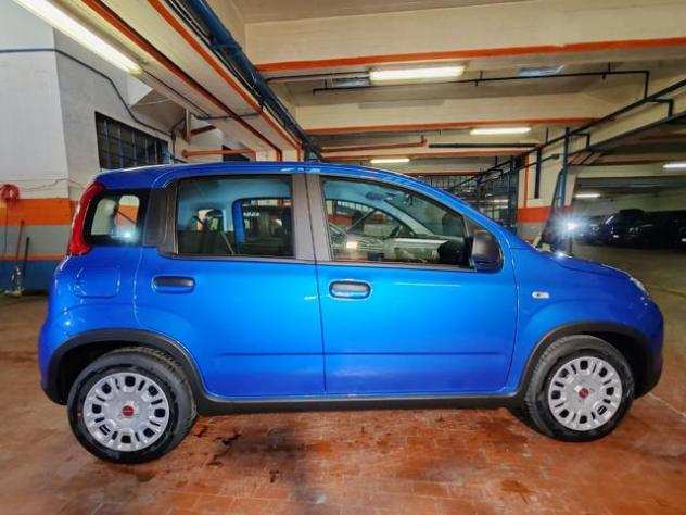 FIAT Panda 1.0 Hybrid 70cv 36 Rate da 177,95 rif. 21475912