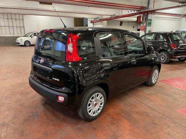 FIAT Panda 1.0 Hybrid 70cv 36 Rate da 177,95 rif. 21475993