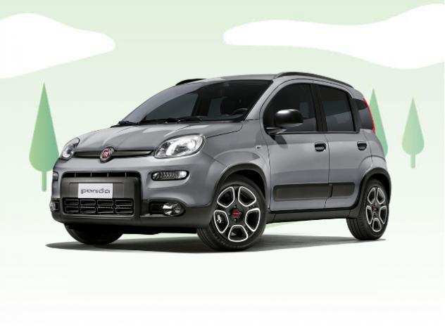 Fiat Panda 1.0 Hybrid a noleggio